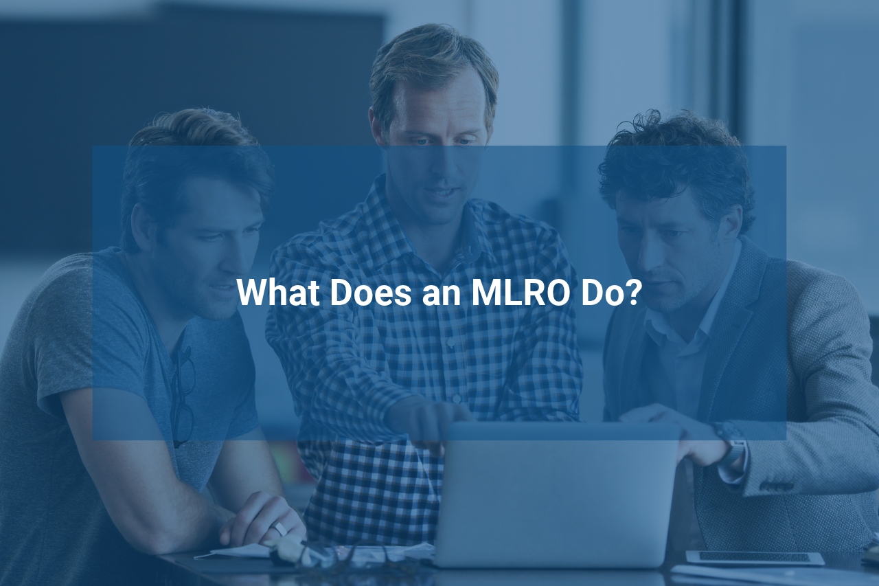 What Does an MLRO Do?